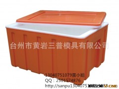 专业供应塑料保温箱模具 大型模具厂家质量值得信赖、精密加工图2