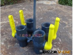 伊朗塑料阀门模具图3