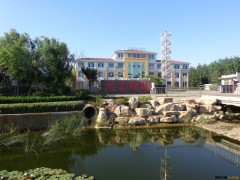 新疆立体车库数控冲压生产线  板材冲孔的好帮手  青岛大东供应图3