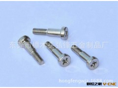 专业定做非标异形螺丝 非标螺丝 弘锋十字螺丝 特殊螺丝批发图2