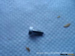 不锈钢小螺杆图3