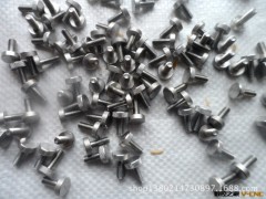 不锈钢小螺杆图2