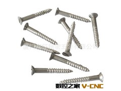 厦门厂家直销一字不锈钢木螺钉 加工定制自攻螺钉图3