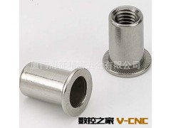 厂家直销加工定制铆螺母 平头不锈钢铆螺母图3