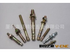 厂家加工定制紧固件膨胀螺栓图3