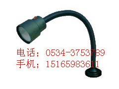 专业供应机床专业白炽灯 LED 卤钨泡工作灯图3