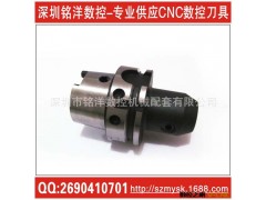 专业供应HSK刀柄|HSK-A63刀柄|HSK-A63|WSLH-10-85 侧固式刀柄图2