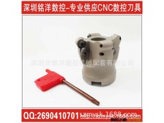 供应EMR舍弃式面铣刀盘 |EMR圆刃 铣刀盘 飞刀盘 EMRW 5R50-22图2