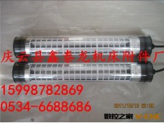 220v机床灯，防水荧光灯，12w*2车床灯，聚氨脂外罩，机床照明灯图3
