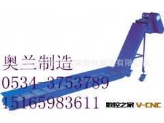 山东优质排屑机厂专业生产链板式排屑机图2