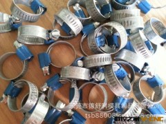 【特供】优惠批发 蓝带不锈钢喉箍图2