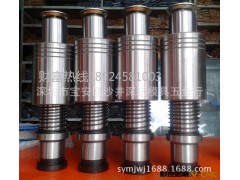 TRP外导柱组件冷冲模座38*160图2