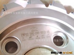株洲钻刀盘 FMP02-200-C60-SE12-16图2