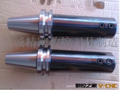 供应数控刀柄，侧固式刀柄，BT50-SLA42-250L侧固刀柄图3