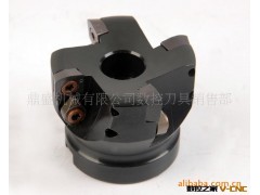 批发各种数控刀具/刀盘  EMRW-8R-63-22图3