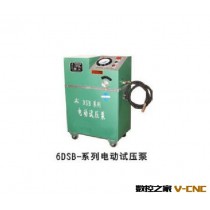 厂家直销上海名牌6DSB-2.5电动试压泵