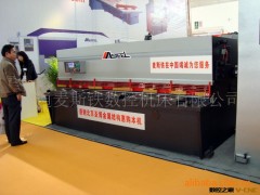 麦斯铁数控液压摆式剪板机MSH2040(图) 折弯机转塔冲图3