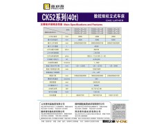 优价供应C52系列(40t)双柱普利森立式车床 车床 立式数控车床图2