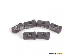 泰珂洛 LNMU0303ZER-MJ AH725 数控刀具批发 批发图2