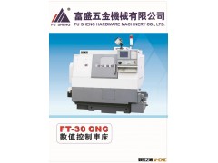 【科学保证】供应FT-30数控车床 数控车床整机 佛山数控车床批发图2
