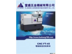 【特价促销】厂家直销 FT-45立式数控车床 数控车床设备批发图2