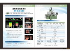 线轨滑块专用设备  立轴数控成型磨床SG-73CNCL图2