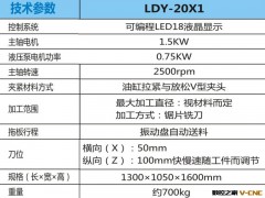 厂家直销供应 LDY-20FX自动铣床车床  钻车床图2