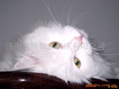 高速万能外圆磨床(图)图2