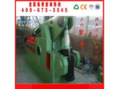 Q43-400T鳄鱼剪切机 废金属剪切机图2