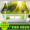 欧式风景3D电视背景墙大型壁画郑州无缝壁画生产厂家批发