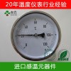 欧洲样式蒸汽锅炉温度计 不锈钢金属温度表