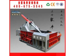 废钢压块机 废料压块机 废钢打包机图2