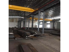 佛山市顺德区厂家泰圆批发X12冷冲模扎板材冷作MJG图2