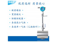 QTMF-C系列插入式热式气体质量流量计探针型图2