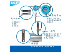 QTMF-C系列插入式热式气体质量流量计探针型图3