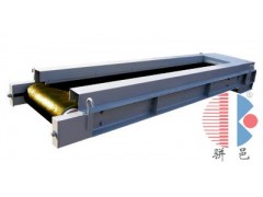调速定量给料皮带秤电子皮带秤高温链板秤图3