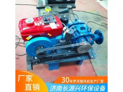 生产销售大风量增氧曝气罗茨风机 污水处理专用风机图2