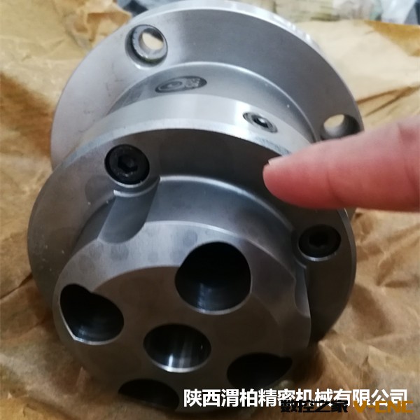 中国总代陕西渭柏012