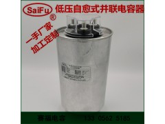 赛福电容BSMJS0.45系列自愈式低压并联电容器 干式电容图2