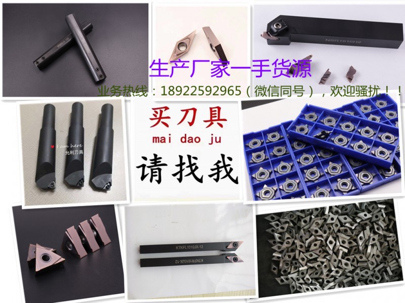 单边10毫米YL-G/C/F125R-S允利走心机大切深双孔