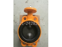 荷兰Wouter Witzel蝶阀图2