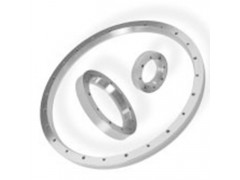 Renishaw雷尼绍RESR系列圆光栅图2