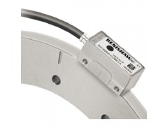 Renishaw雷尼绍 RESOLUTE系列非增量式光栅系统图2