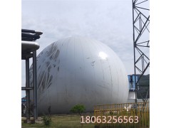 沼气储气柜 厌氧独立式气柜 沼气贮气柜图2