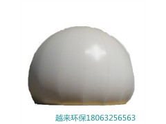 沼气储气柜 厌氧独立式气柜 厌氧沼气柜图2