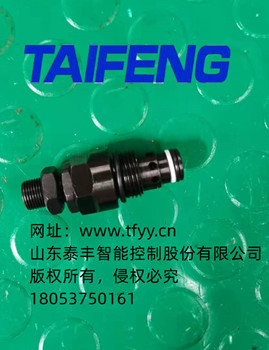 泰丰直销直动式溢流阀