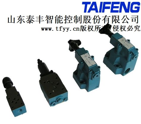 山东泰丰液压DZ10/YM 顺序阀