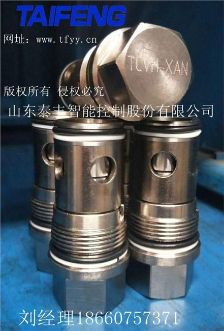 供应TCVH单向阀