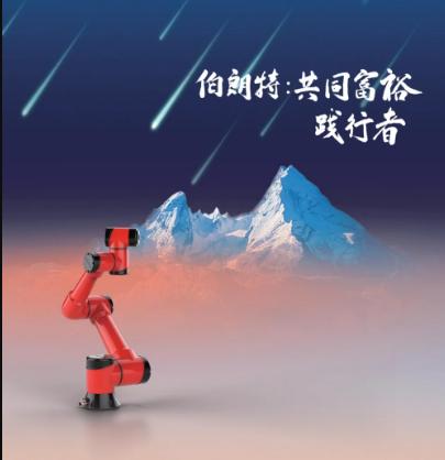 BORUNTE 上下手搬运机器，机器手