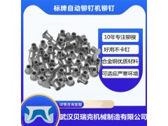 武汉铆钉生产厂家，贝瑞克自冲铆钉制造图3